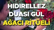 Hıdırellez Gül Ağacı Ritüeli ve Dilekler 2025: Geleneksel Hıdırellez Duası Nasıl Gerçekleştirilir?