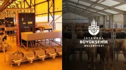 İstanbulluların İstekleri Gerçek Oldu: İBB'den Kurban Kesecekler İçin 4 Yeni Süper Lüks Tesis! Yerler Hızla Doluyor, Şimdiden Rezervasyon Yaptırın!