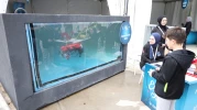 Kocaelili gençler, EnFest etkinliğiyle unutulmaz bir deneyim yaşadı!