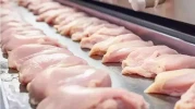 Marketlerde satılan tavuk için acil iade uyarısı! Sakın tüketmeyin: Fiş olmaksızın parası geri verilecek