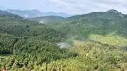 Osmaniye'de orman yangınlarına kökten tedbir! Girişler yasaklandı
