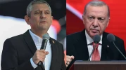 Barış Güvercini Olmak İsteyen Kişi, Yaptığı Hareketlerle Herkesi Etkiliyor