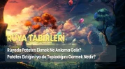 Rüyada Patates Ekmek İle İlgili Anlamlı İlginç Detaylar!