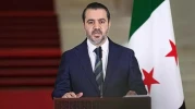 Şeybani: Anayasa görüşmeleri nihayete erdi