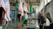 Giresun Belediyesi Mezbahanesinde İş Güvenliği Eğitimi Verildi