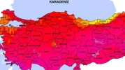 O ilimizde dev yılan görüntülendi! Uzmanlar üstüne basa basa uyardı