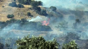 30 dönümlük alan kül olmuştu: Aydın'daki yangında iki kişi gözaltında