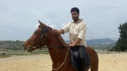 Ata binip markete gitti, 10 bin TL ceza yedi! ‘Bu işin peşini bırakmam’