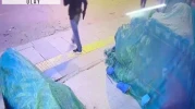 Başakşehir'de girdikleri iş yerinde açamadıkları kasayı taşıyarak çaldılar