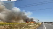 Silivri'de ot yangını itfaiyenin 1 saatlik çalışması ile söndürüldü