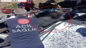 Şarampole devrilen TIR'ın şoförü öldü