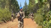 Muğla'da orman yangınlarına karşı sıkı denetim