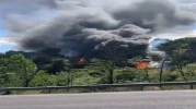 TIR'daki yangın ormana sıçradı; 10 dönüm alan zarar gördü