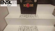 Tarihi eser kaçakçıları yakayı ele verdi