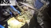 Artvin'de mahsur kalan 33 büyükbaş hayvan kurtarıldı