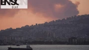 İzinsiz şekilde yakılan çöpler orman yangınına sebep oldu: Bir şüpheli gözaltında