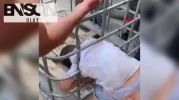 Girmeye çalıştığı kafesin demir parmaklıklarında sıkışan çocuk kurtarıldı
