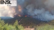 İzmir Foça'da orman yangını