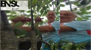 Elektrik akımına kapılan yaşlı adam yaşamını yitirdi