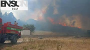 Ankara Valiliği'nden orman yangınlarına karşı yeni tedbirler