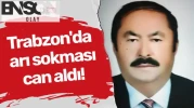 Trabzon'da arı sokması can aldı!