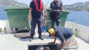 Bodrum ve Marmaris'te atık transferi yapmayanlara ceza yağdı