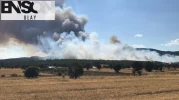 Uşak'ta orman yangınına neden olan 2 kardeş tutuklandı