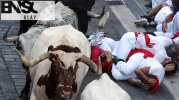 İspanya'da boğa koşularında 8 kişi yaralandı