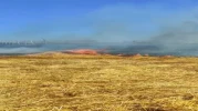 Arnavutköy'de Tarla Yangını Kontrol Altına Alındı, Çevredekiler ve İtfaiye Ekipleri Müdahale Etti.