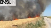 Ankara'da buğday tarlasında yangın; 40 dönüm ekili alan zarar gördü