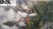 Tekirdağ'daki orman yangınında son durum!