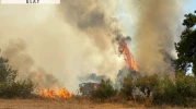 Çanakkale'de orman yangını çıktı! Müdahale ediliyor