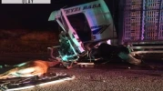Hafif ticari araç, yola çıkan geyiğe çarptıktan sonra kamyonla çarpıştı; 1 ölü, 1 yaralı