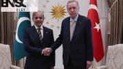 Hindistan ‘endişeliyiz’ diyerek alarm verdi! Türkiye-Pakistan zirvesi kriz yarattı