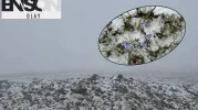 Türkiye'de mevsimler şaştı! Temmuz ayında 3 ilimize lapa lapa kar yağdı