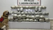 Van’da 97 kilo skunk ele geçirildi