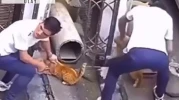 Sevmek için yaklaştığı kediye vahşeti yaşattı