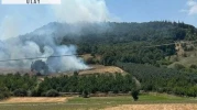 Bingöl'de ormanlık alanlarda çıkan yangın söndürüldü