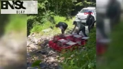 Bursa’da 1400 keklik doğayla buluştu