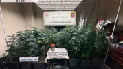 Sakarya'da uyuşturucuya 1 tutuklama