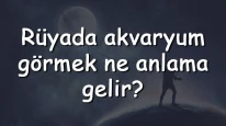 Rüyada akvaryum görmek ne anlama gelir? Rüyada akvaryum almak ve temizlemek tabiri