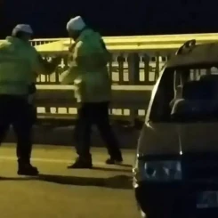 Elif Tuana Torun Kimdir ve Hayatı: Gizemli Ölümüyle Gündeme Geldi!