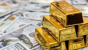 Altın mı dolar mı yoksa Euro mu? Dünyaca ünlü banka resmen açıkladı: Parasını oraya yatıran yaşadı - TRHaber