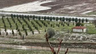 Fırtına sonrası dolu yağışı çiftçiler için yine büyük bir zarara yol açtı!