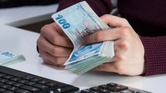 Takipteki ticari kredi artış hızı bireyseli geçti