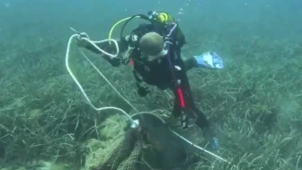 İzmir'de deniz dibinden 1,5 ton ağ çıkarıldı!