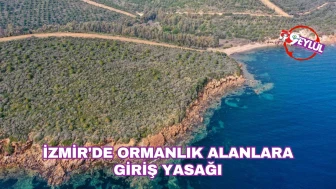 İzmir'de Ormanlık Alanlara Giriş Yasaklandı: Doğal Hayata Destek İçin Önlem Alındı