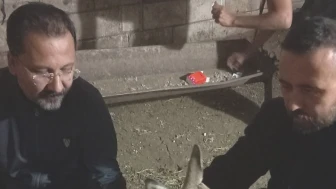 Karaca, hayatta kalmak için saniyelerle yırttı!