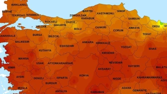 Marmara Bölgesi'nde 1 Haftalık Etkinlikler Başlıyor: Gelin Birlikte Keşfedin!