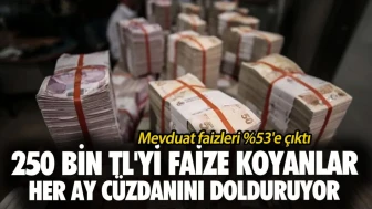 Mevduat faizleri %53'e çıktı! 250 bin TL'yi faize koyanlar her ay cüzdanını dolduruyor